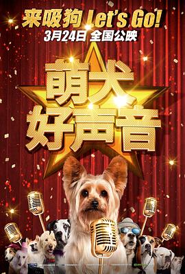 校花白丝