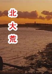 精品中文字幕不卡在线视频
