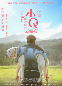 福利视频午夜